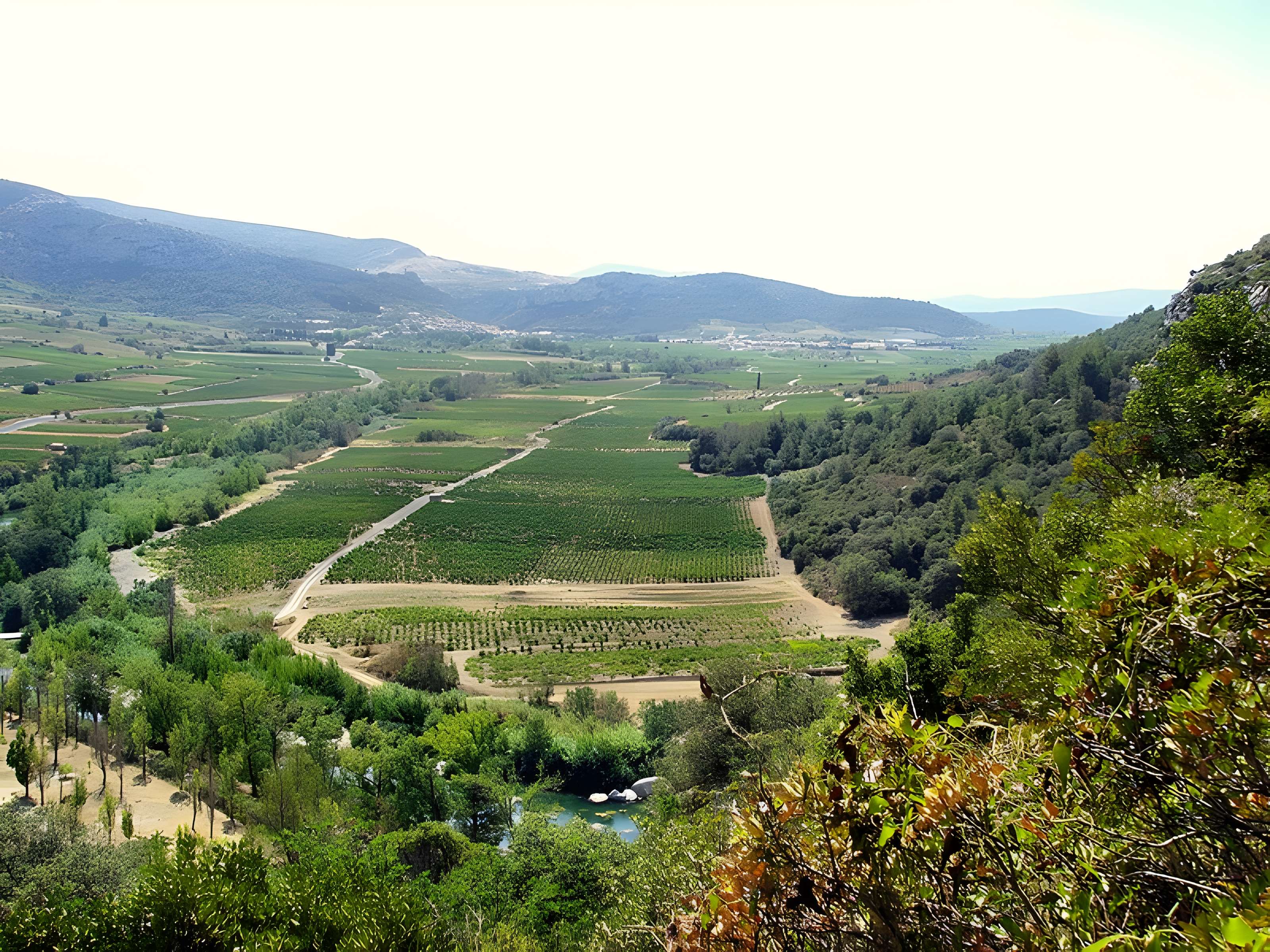 Grotte de la Caune de l'Arago