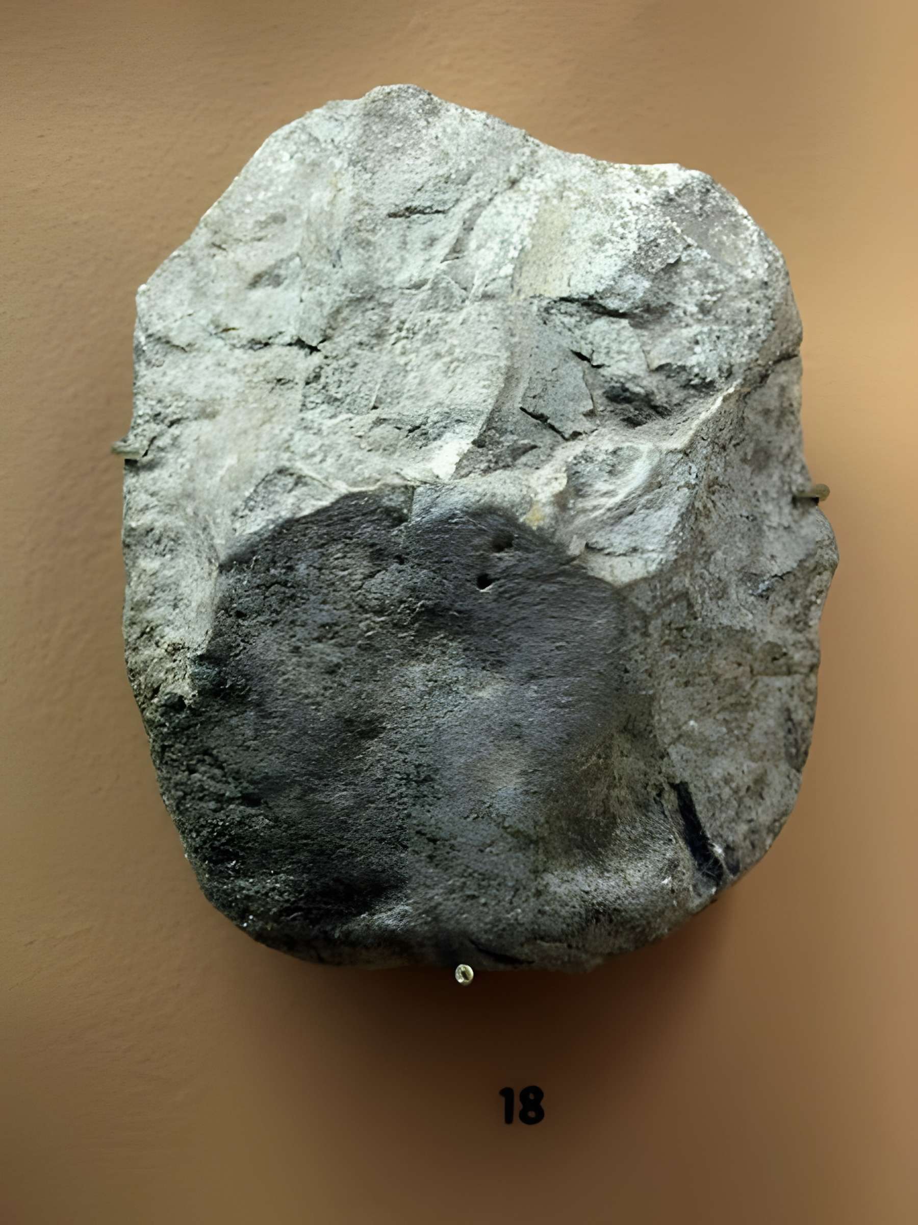 Grotte de la Caune de l'Arago