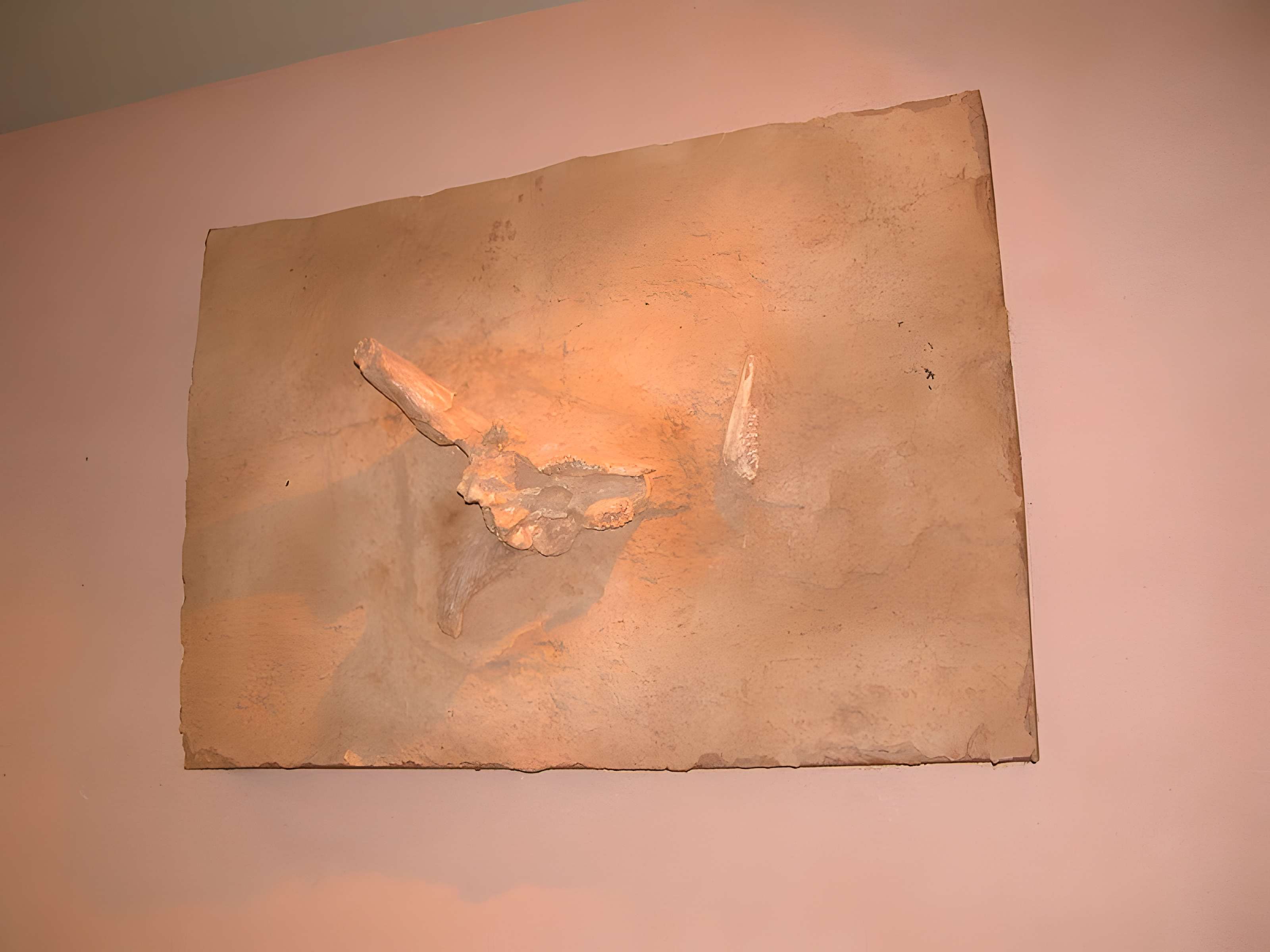 Grotte de la Caune de l'Arago