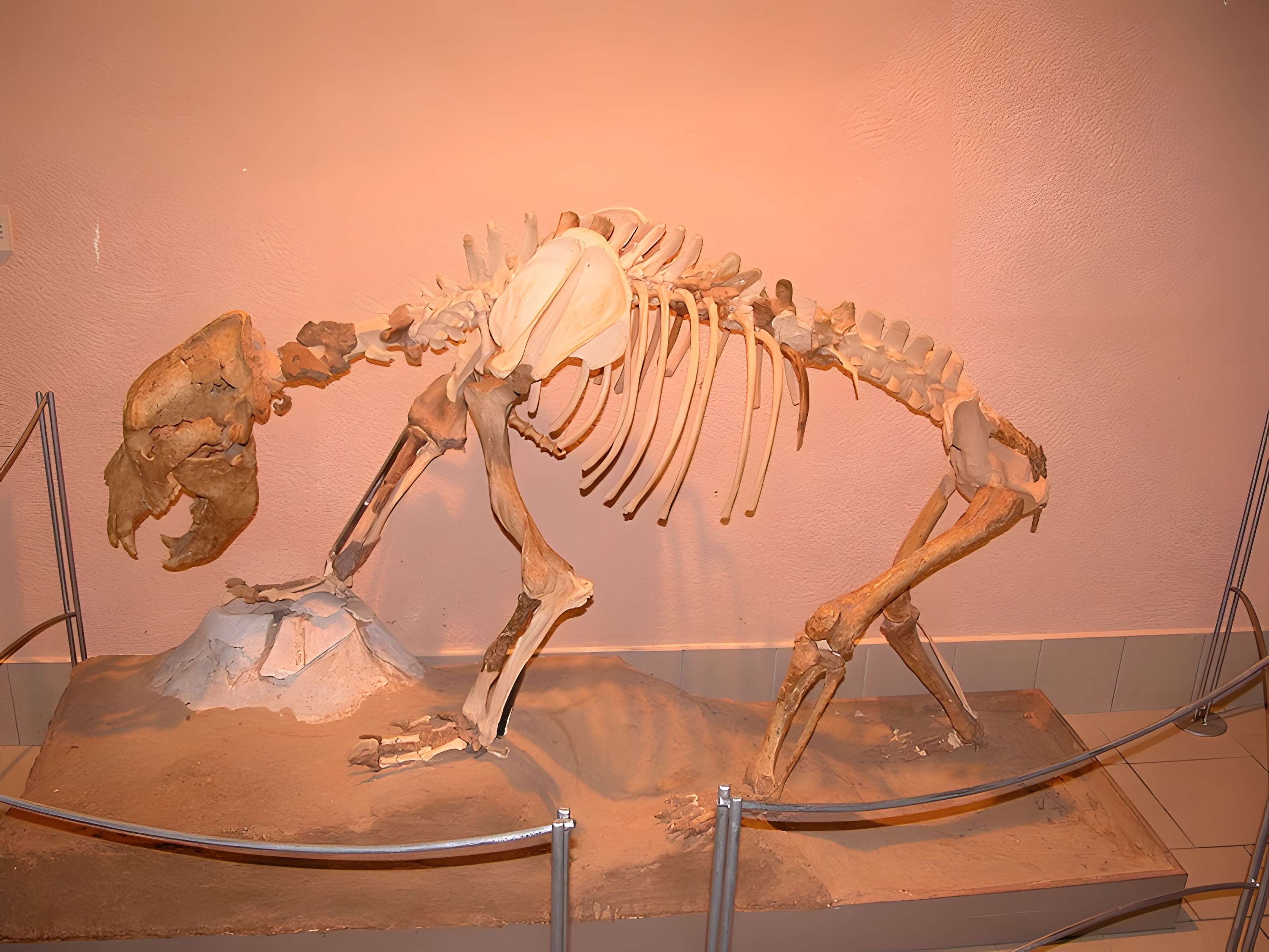 Grotte de la Caune de l'Arago