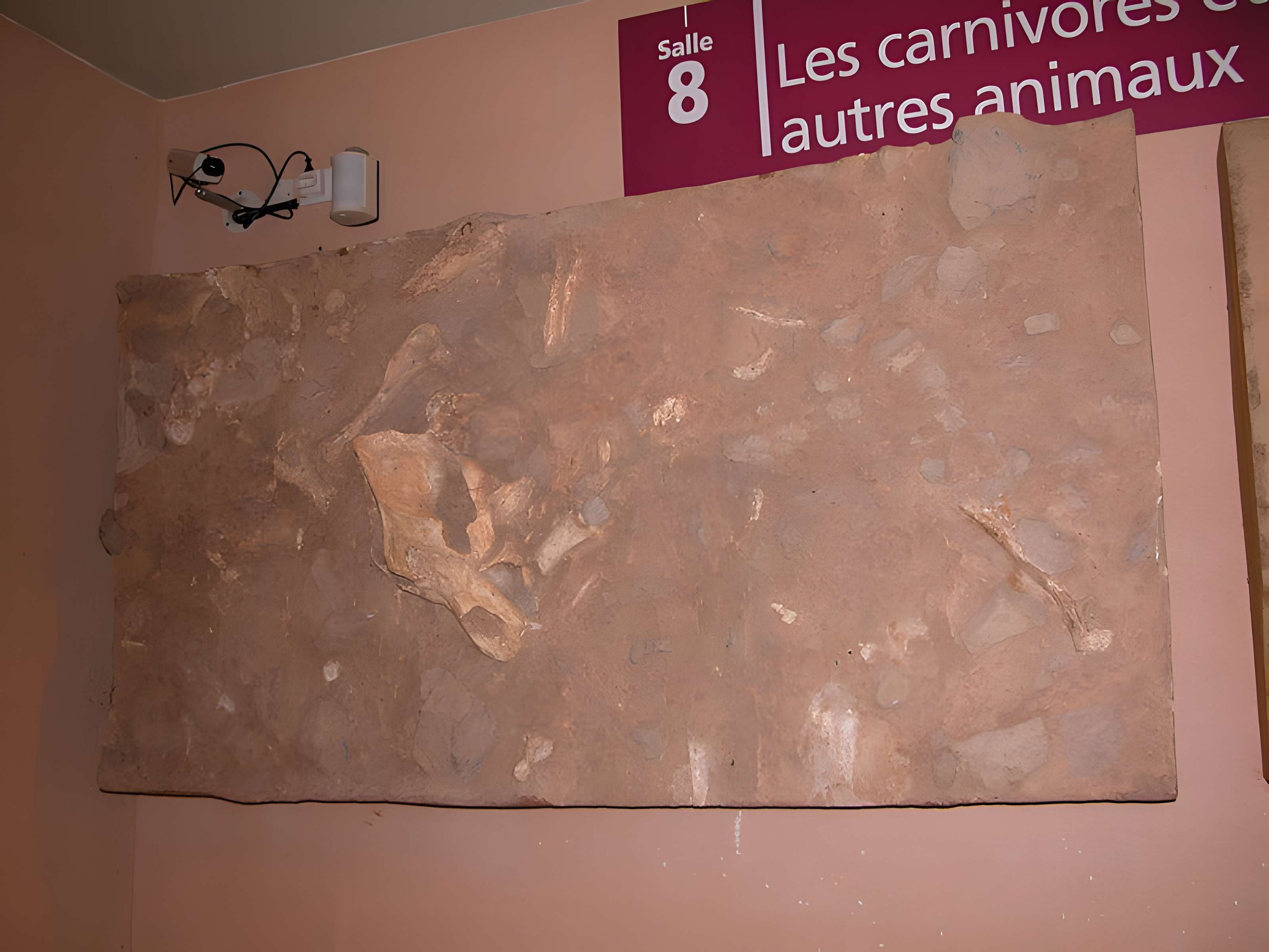 Grotte de la Caune de l'Arago