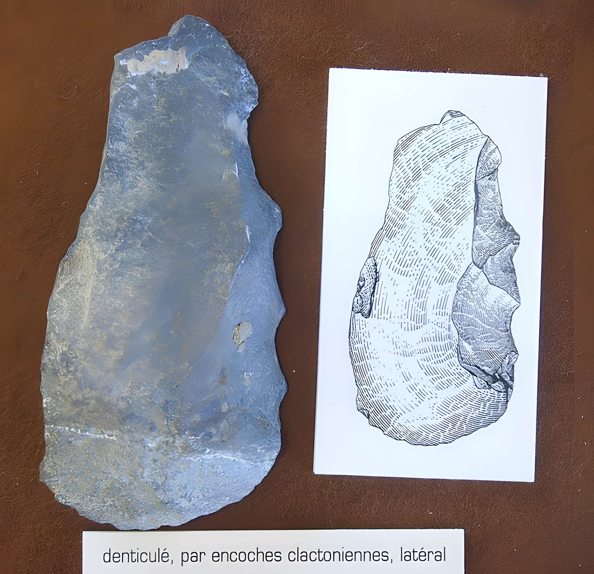 Grotte de la Caune de l'Arago