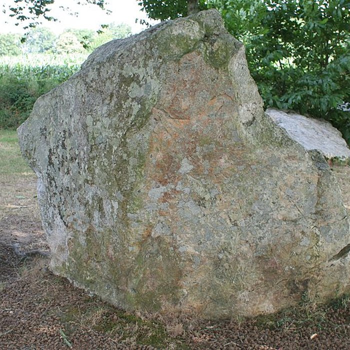 Photo de Alignements des Rochers