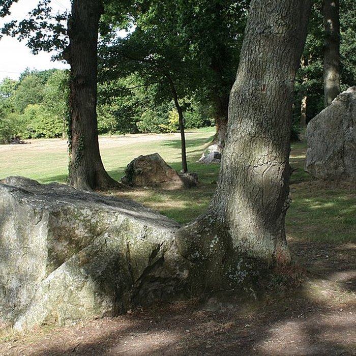 Photo de Alignements des Rochers