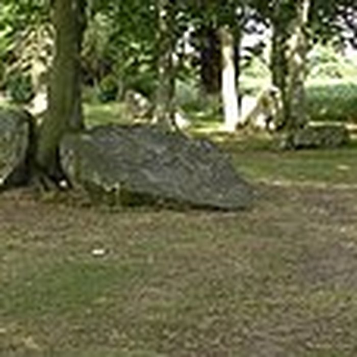 Photo de Alignements des Rochers