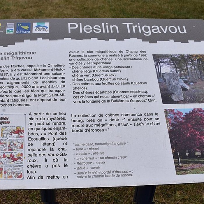 Photo de Alignements des Rochers