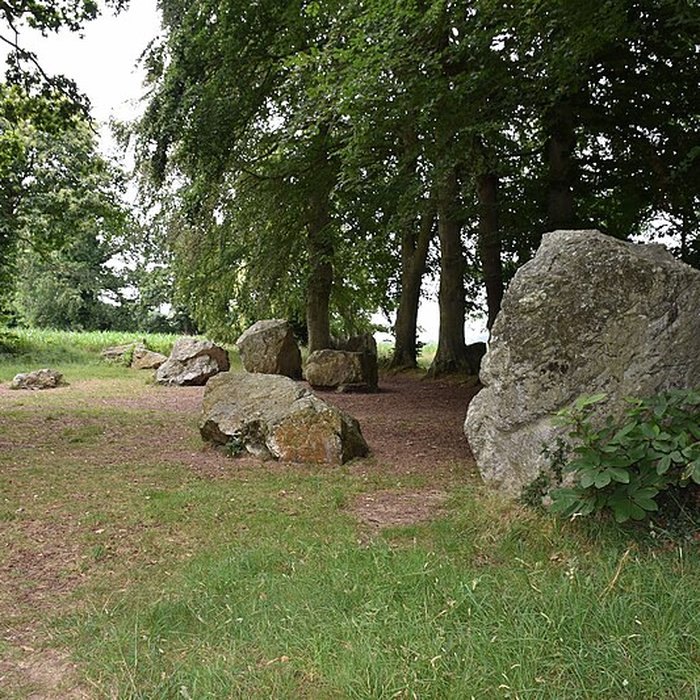 Photo de Alignements des Rochers
