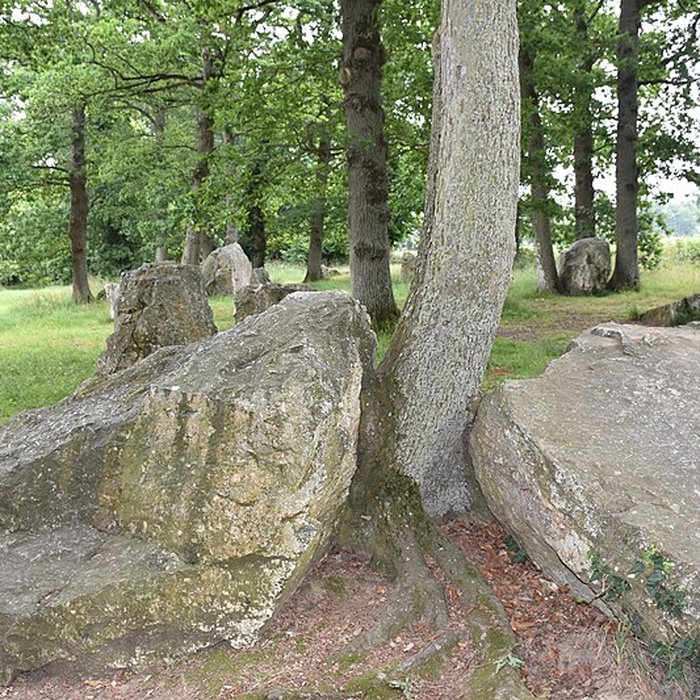Photo de Alignements des Rochers
