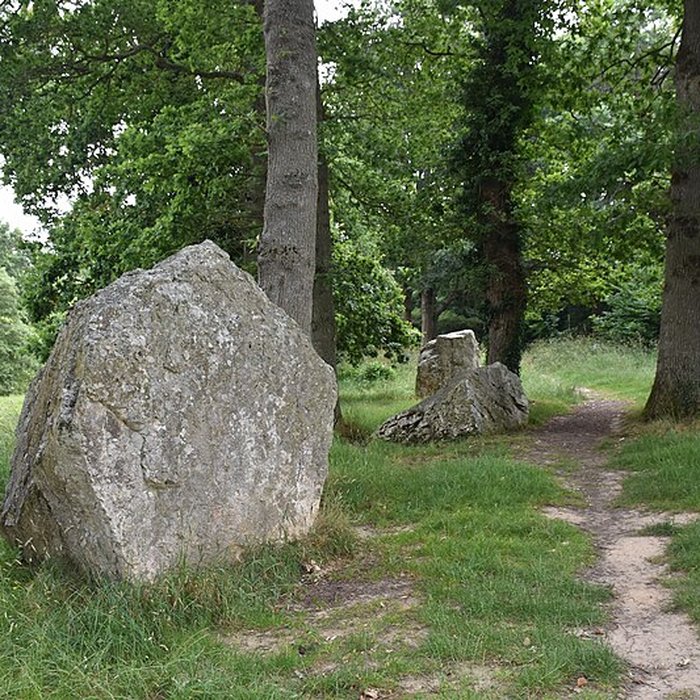 Photo de Alignements des Rochers