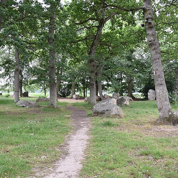 Photo de Alignements des Rochers