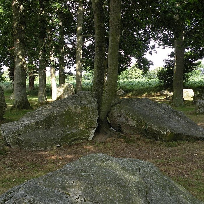 Photo de Alignements des Rochers