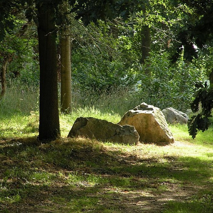 Photo de Alignements des Rochers