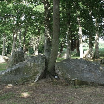 Alignements des Rochers