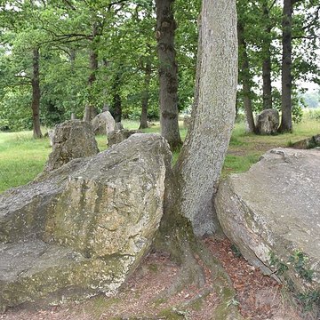 Alignements des Rochers