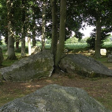 Alignements des Rochers