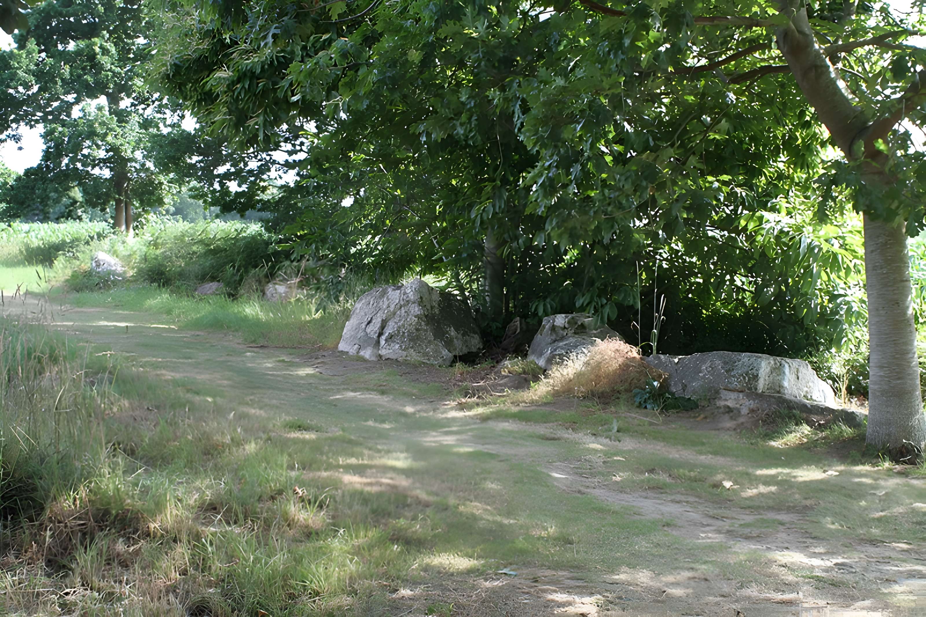 Alignements des Rochers