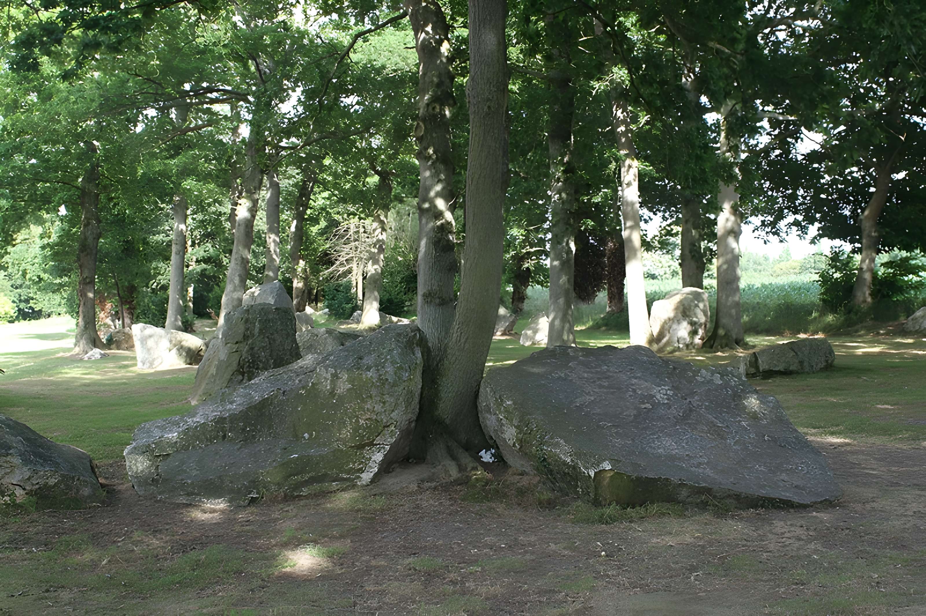 Alignements des Rochers