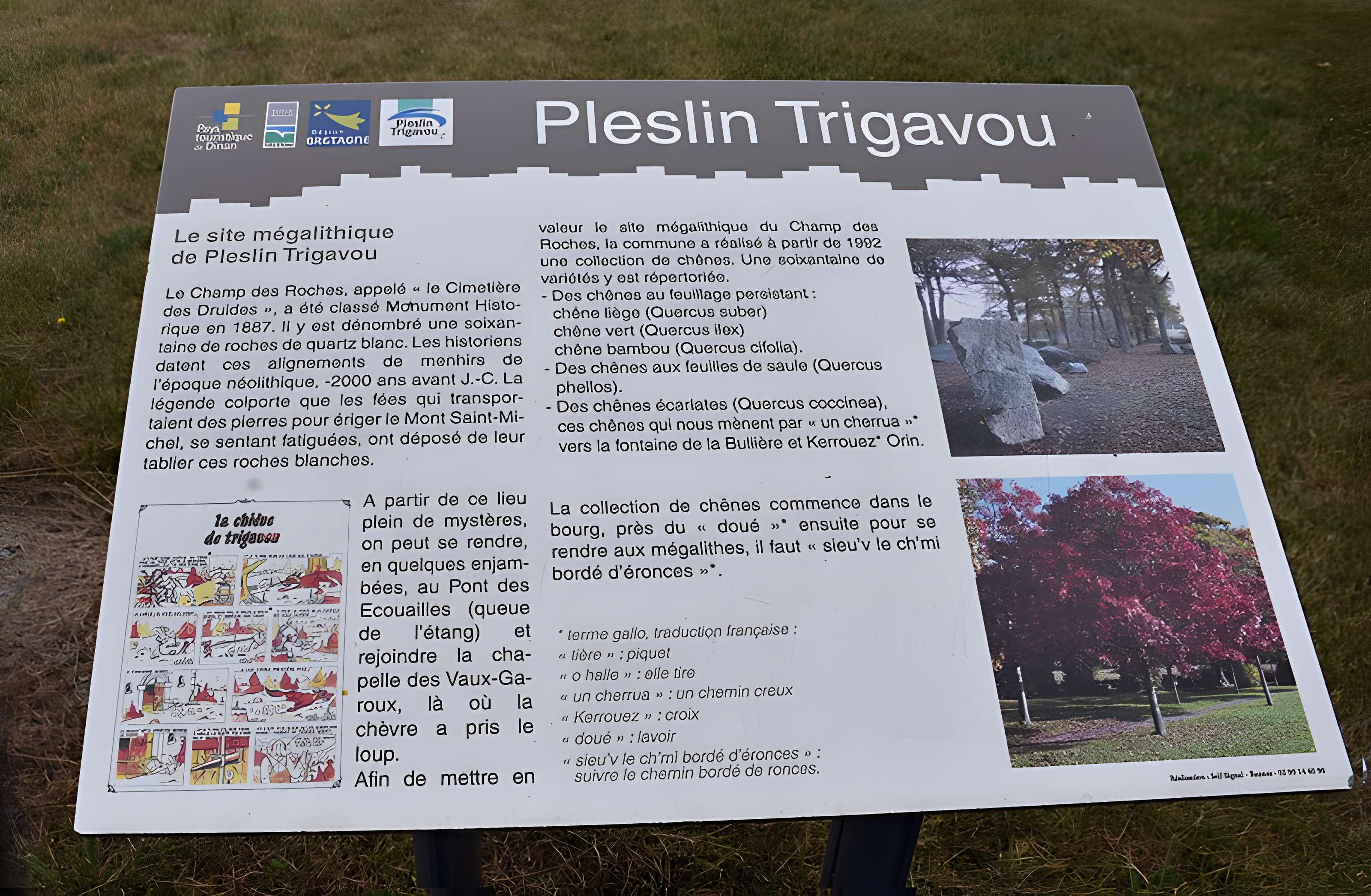 Alignements des Rochers