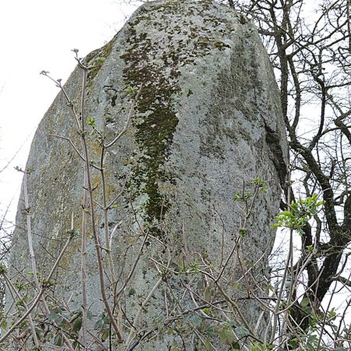 Photo de Deux menhirs