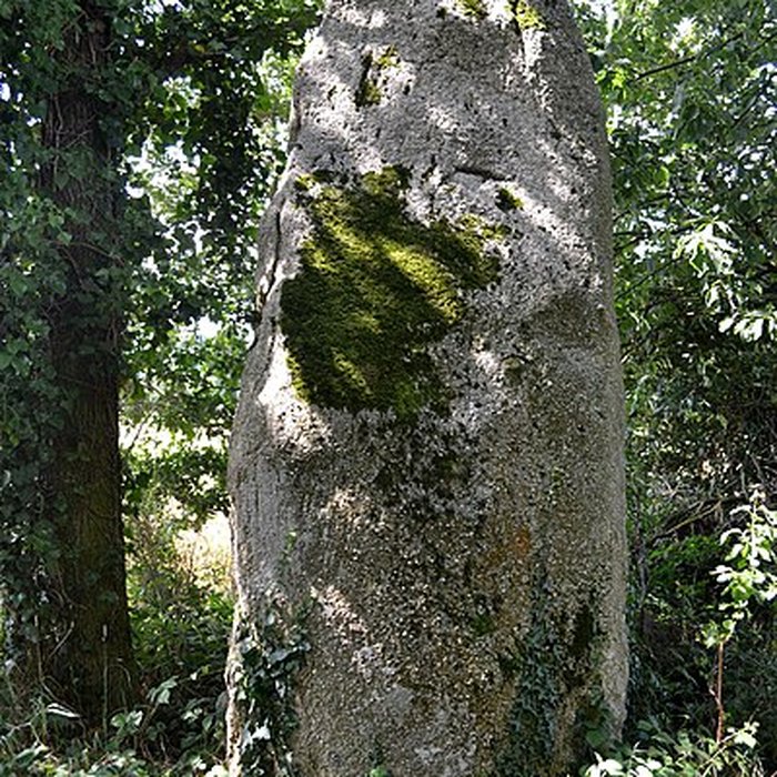 Photo de Deux menhirs