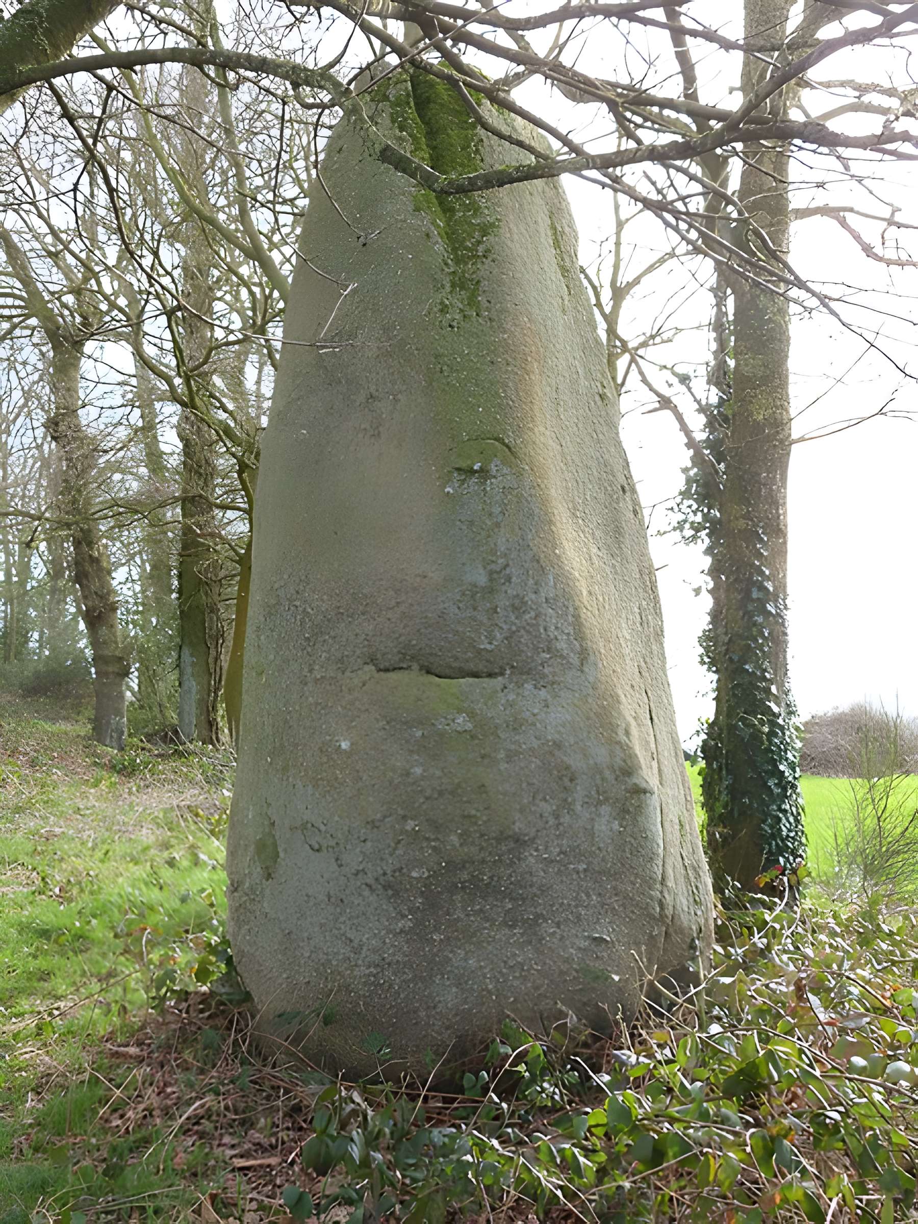 Deux menhirs