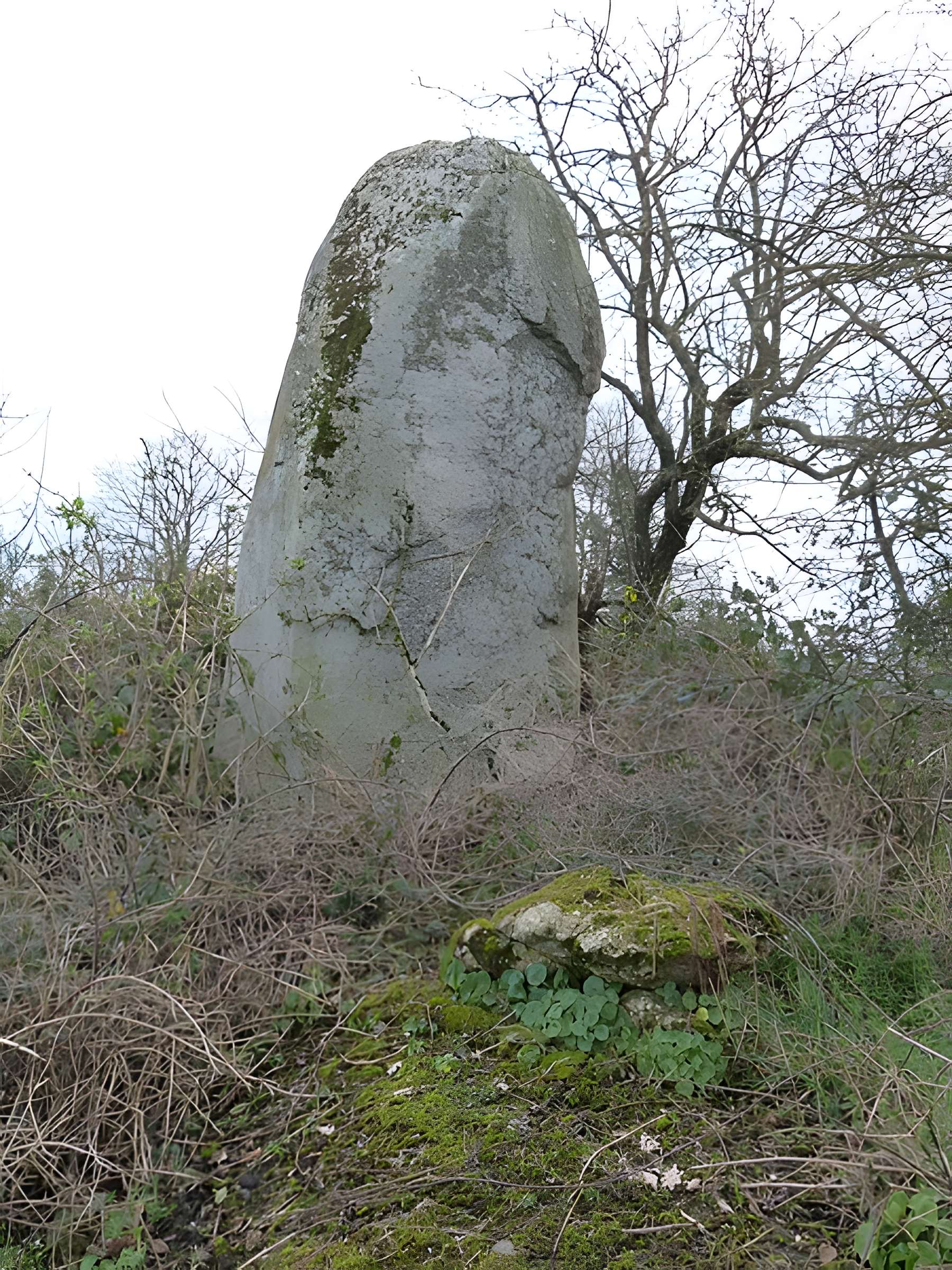 Deux menhirs