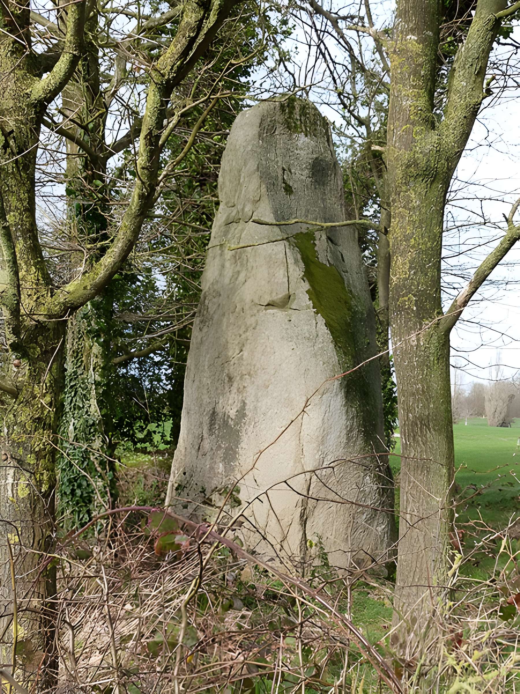 Deux menhirs