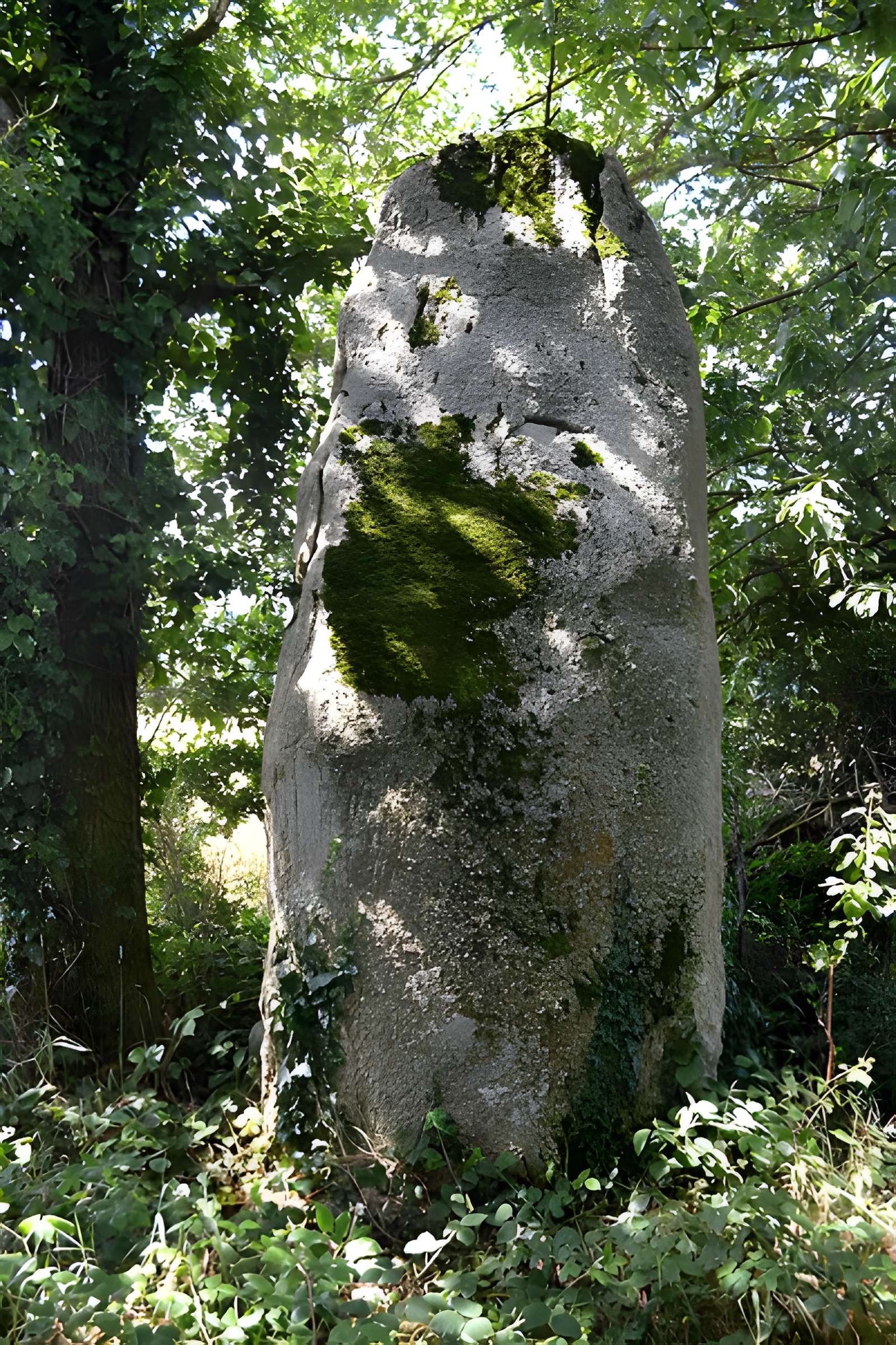 Deux menhirs