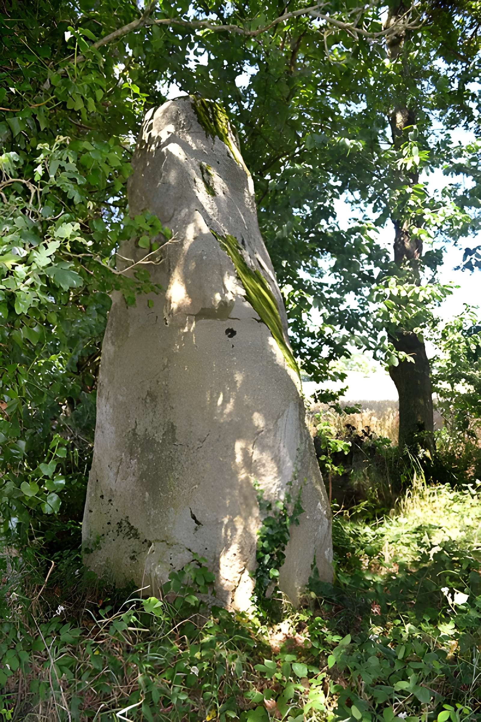 Deux menhirs