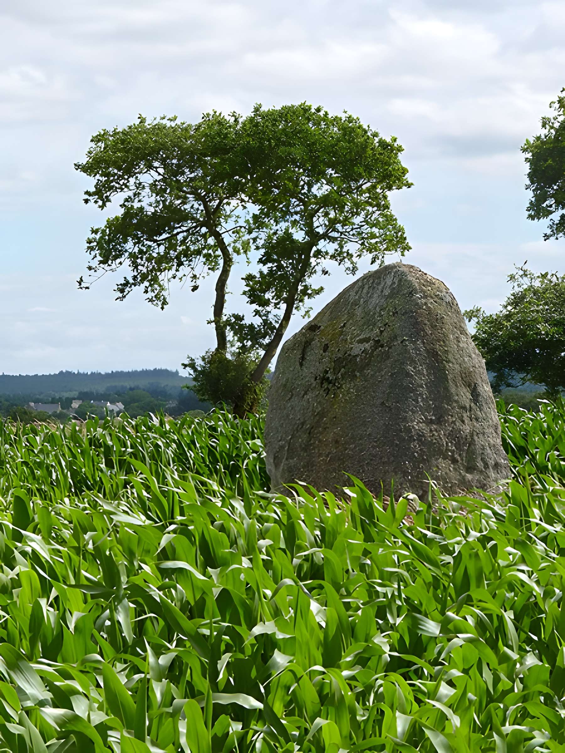 Menhir de Keranhouët