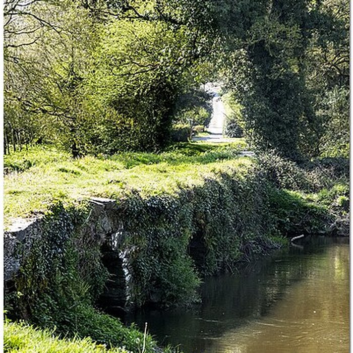 Photo de Pont gaulois dit de Sainte-Catherine également sur commune de Plounévézel, dans le Finistère