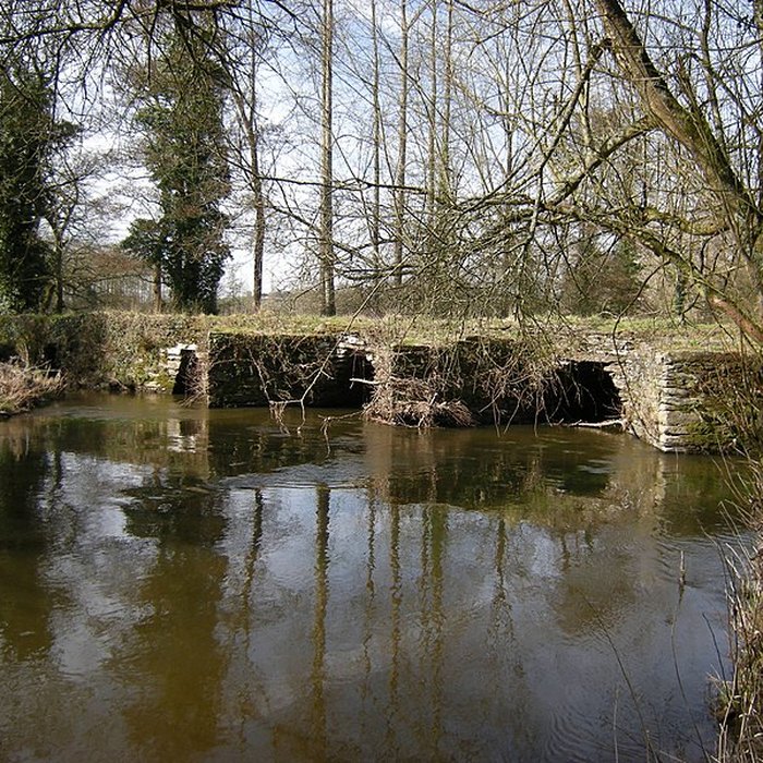 Photo de Pont gaulois dit de Sainte-Catherine également sur commune de Plounévézel, dans le Finistère