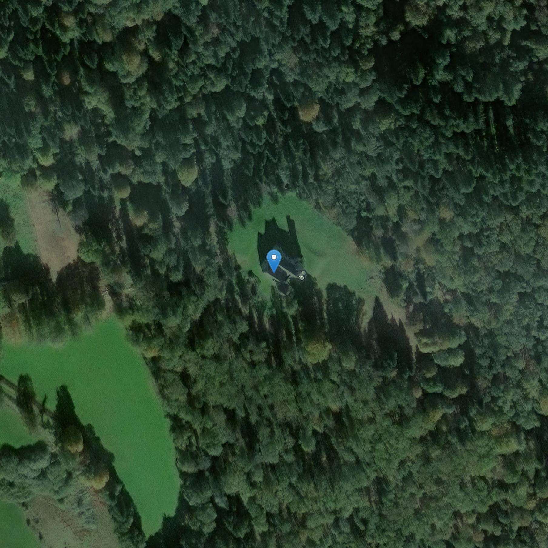 Photo de Chapel and castle of the domain of the Forest