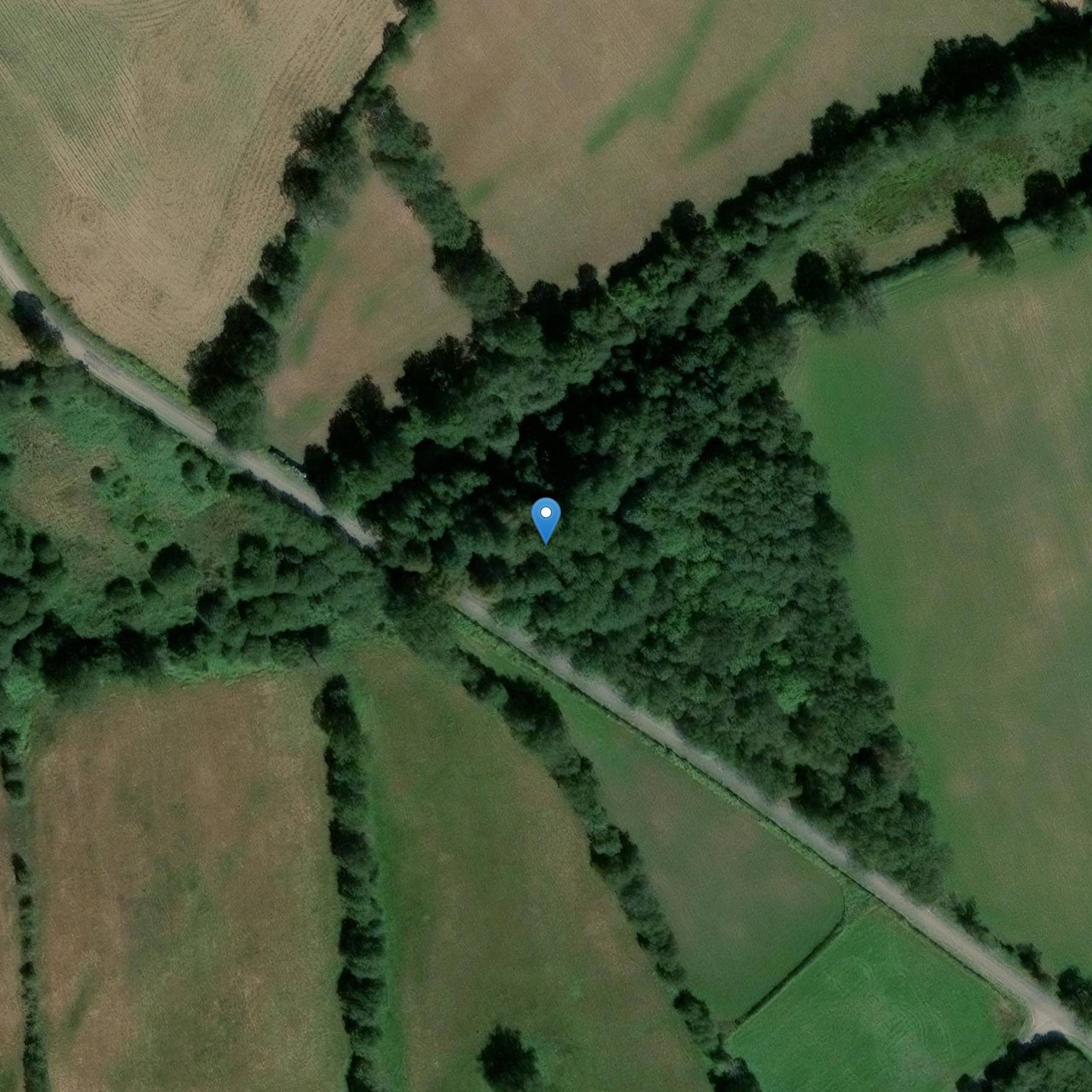 Photo de 门希尔说