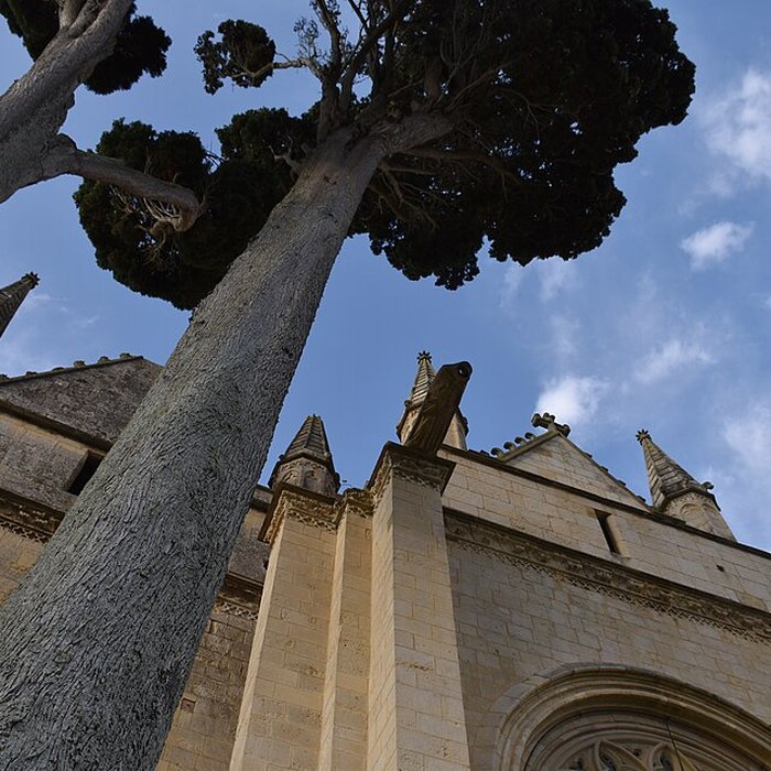 Photo de Église Notre-Dame de Dives-sur-Mer