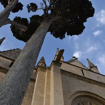 Église Notre-Dame de Dives-sur-Mer