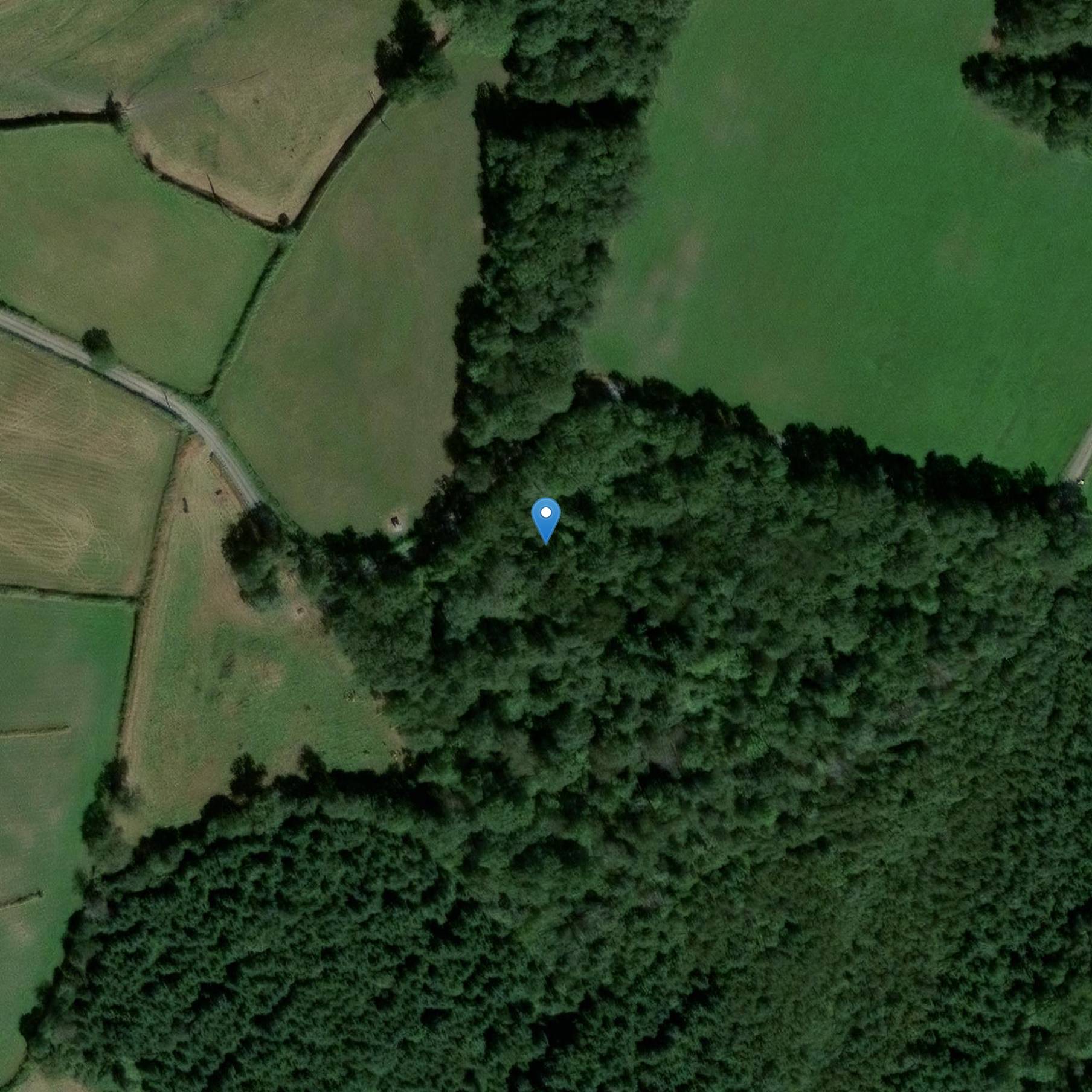 Photo de Dolmen de Pierre-sous-Pèze