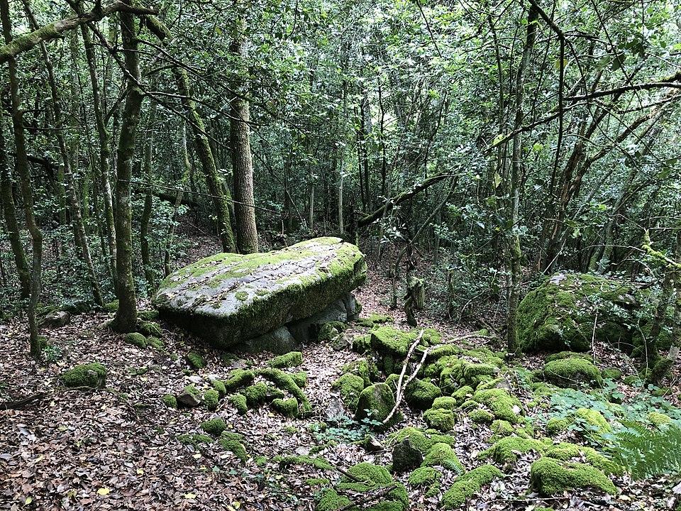 Photo de Oppidum de Châteauvieux