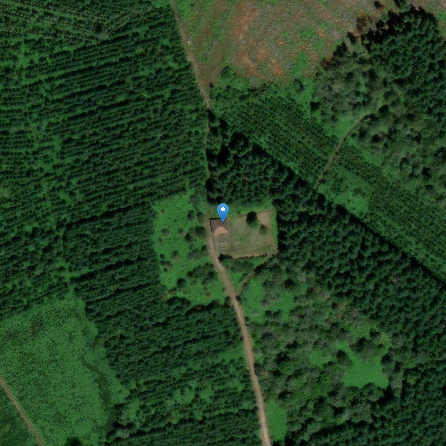 Photo de Santuario gallo-romano di Puy-Lautard