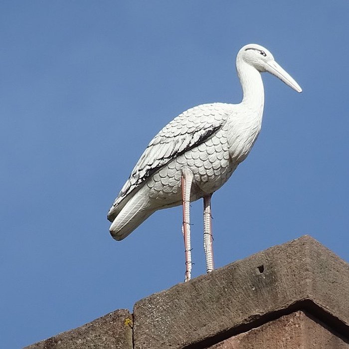 Photo de Église Notre-Dame de Guebwiller