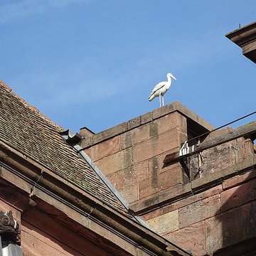 Église Notre-Dame de Guebwiller
