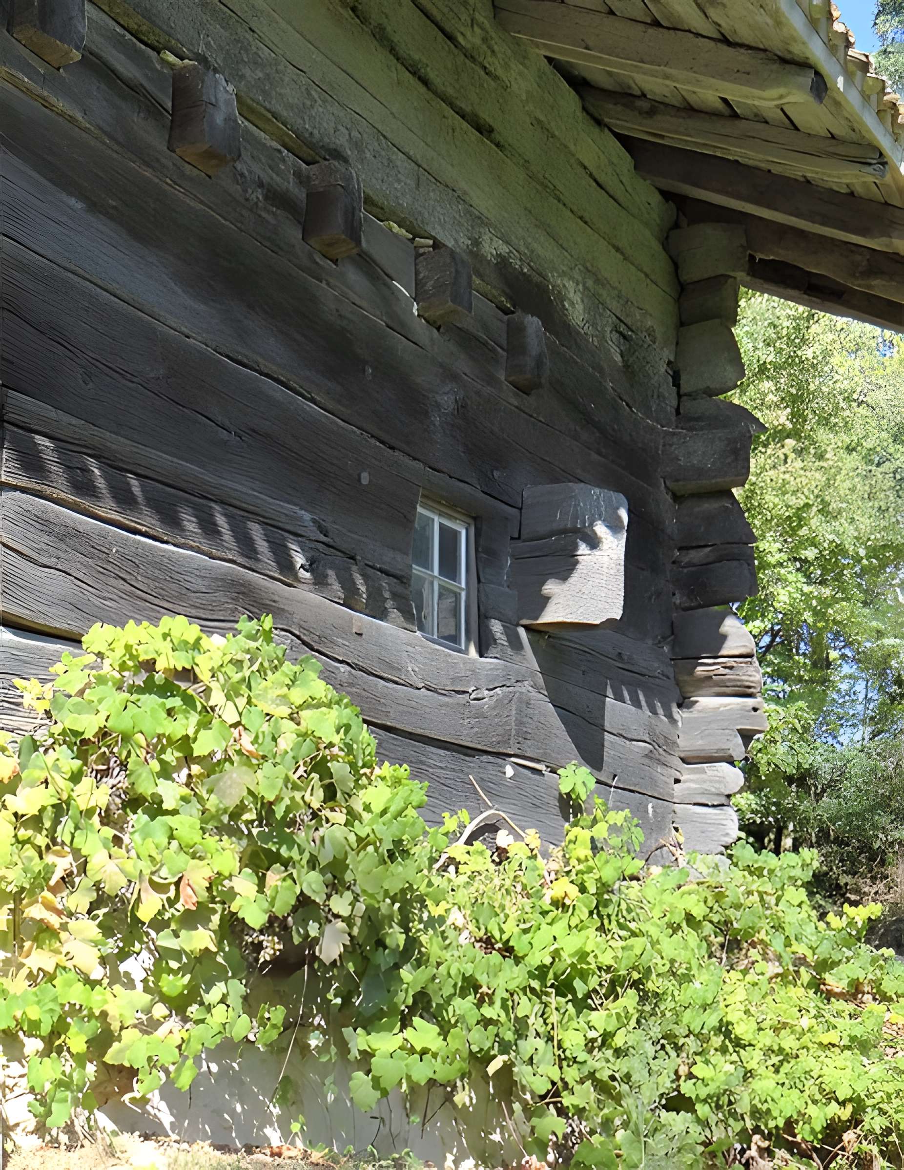 Maison à empilage de planches de Jouandis