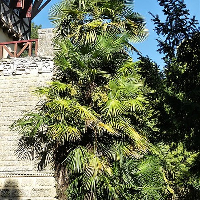 Photo de Château de Mounet-Sully