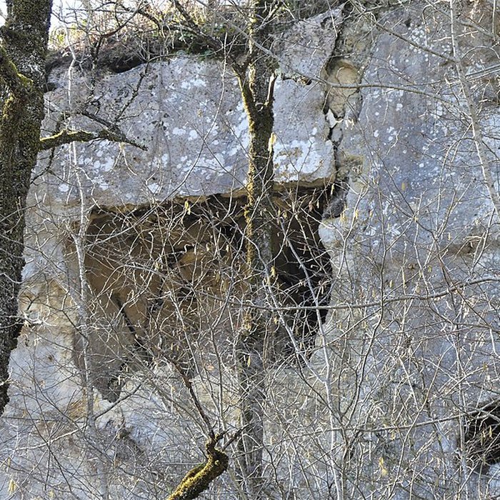 Photo de Cluzeau de Chambrebrune