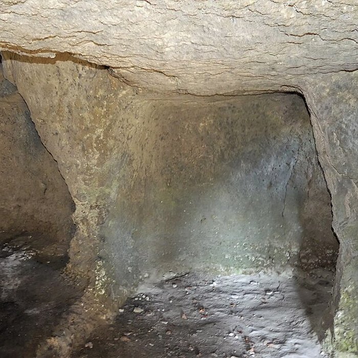 Photo de Cluzeau de Chambrebrune