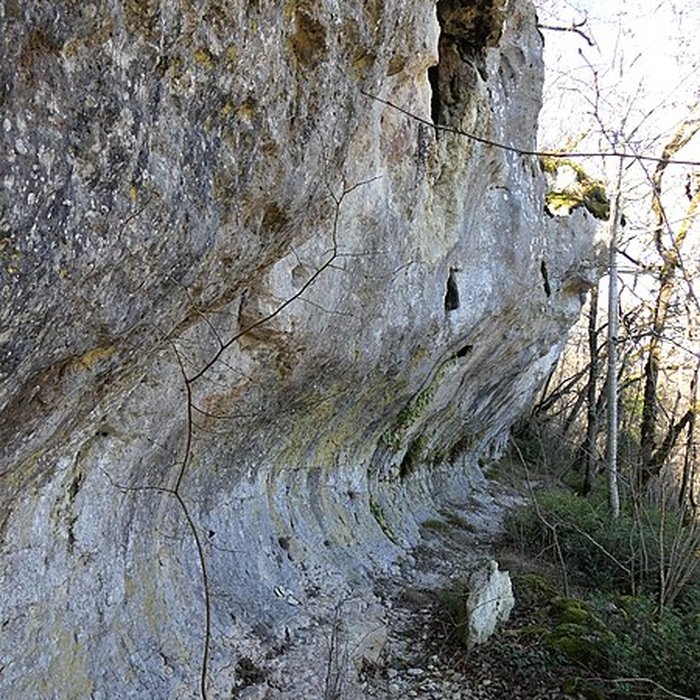 Photo de Cluzeau de Chambrebrune