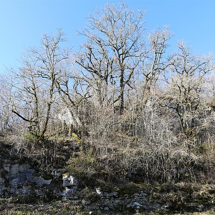 Photo de Cluzeau de Chambrebrune