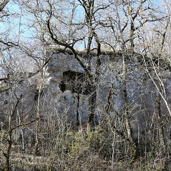 Photo de Cluzeau de Chambrebrune