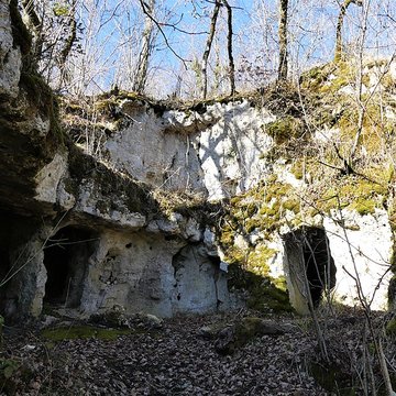 Cluzeau de Chambrebrune