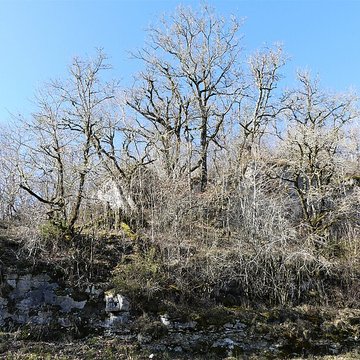 Cluzeau de Chambrebrune